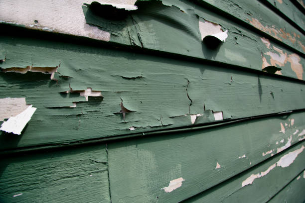 Lumber City, GA Siding Installation & Repair Company